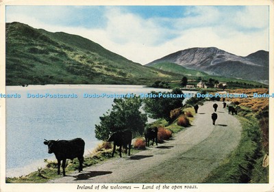 D241642 Irland des Willkommenslandes der offenen Straßen Killarney Druckereien