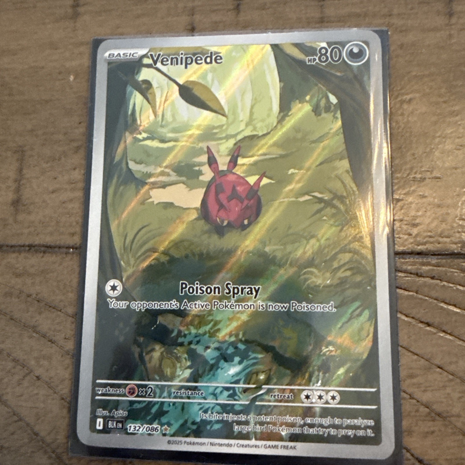 Pokémon Venipede Illustration Black Bolt Holo Card 132/086 TCG English