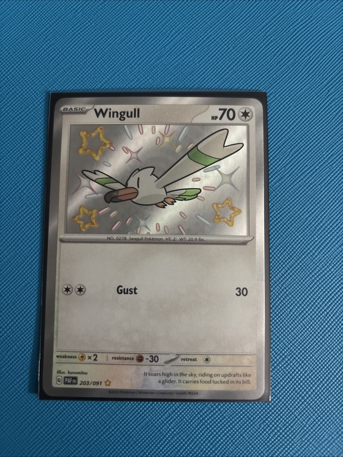 Wingull 203/091 Scarlet & Violet Paldean Fates Rare Shiny Holo Pokemon Card NM