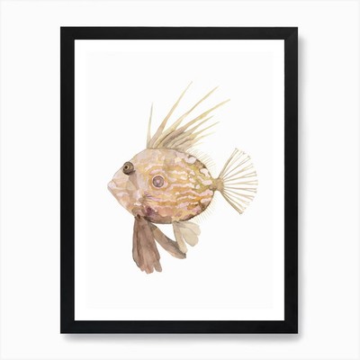 Sea Life John Dory Kunstdruck gerahmt Wandbild Poster Leinwanddruck Bild