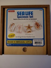  Lakeshore Hands On Science Specimen-sea Life...