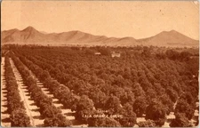 Los Angeles California CA : PANORAMIC SCENE d/24 BF3001
