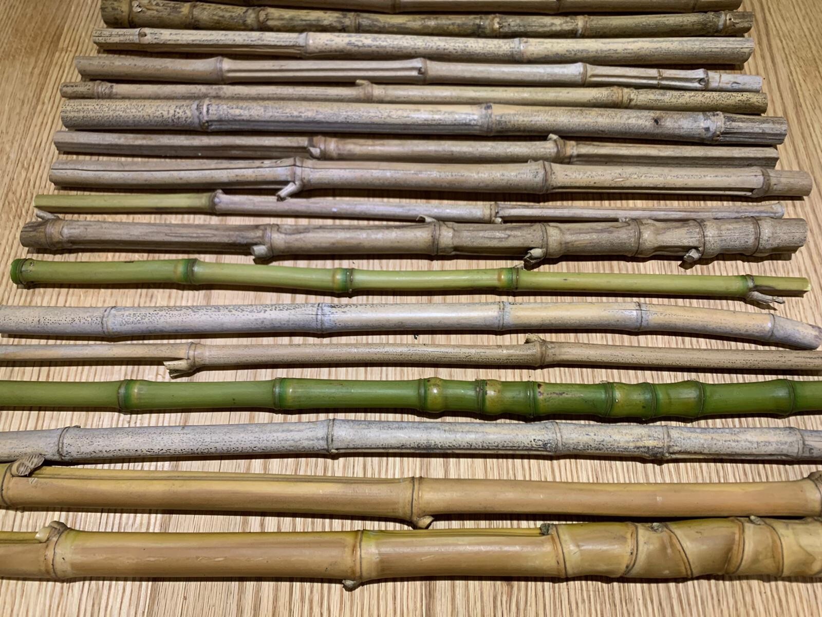 Bambus Stäbe Bambus Rohr Garten Basteln Insektenhotel 9stück 50cm Lang