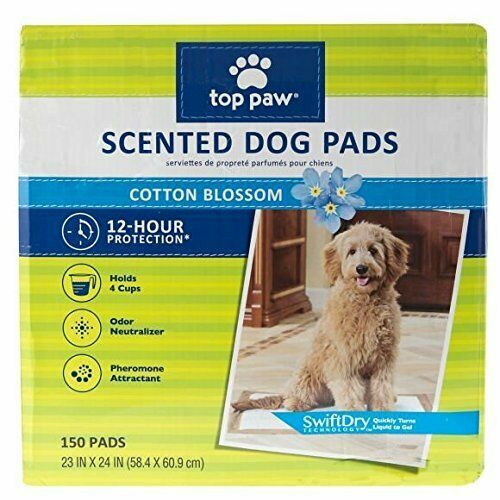 border terrier breeders near me