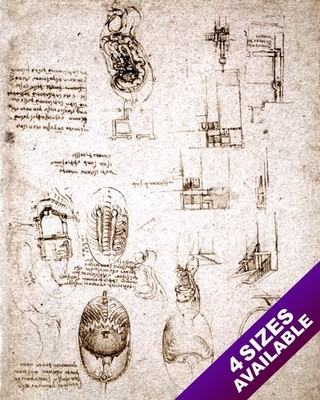 LEONARDO DA VINCI HUMAN ANATOMY & ARCHITECTURE PLAN SKETCH REAL CANVAS ART PRINT