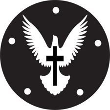 Dove Cross Points / Timing Cover Harley Twin Cam Motor 1999 to 2017. USA