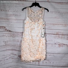 NWT Adrianna Papell Ivory & Blush Floral Embroidery Dress Size 6 Retail $179