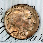 * 1929-S * SOLID+ GEM BU MS BUFFALO NICKEL * FROM ORIGINAL COLLECTION