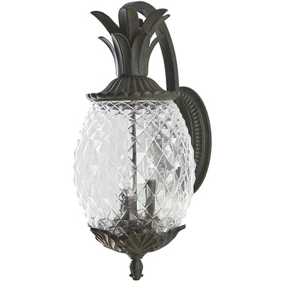 Acclaim Lighting 7512BC Lanai 3 Light 22 inch Black Coral Exterior Wall Mount