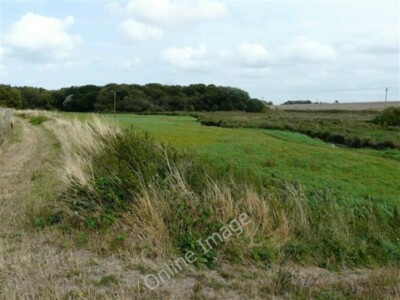 Foto 6x4 Wald und Bach bei Worth Worth\/TR3355 Der Wald heißt Ham um 2009