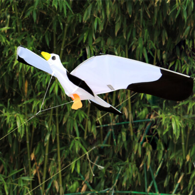 3D Seagull Kite mit Flugwerkzeugen für Kinder Erwachsene für Park Sport Toy