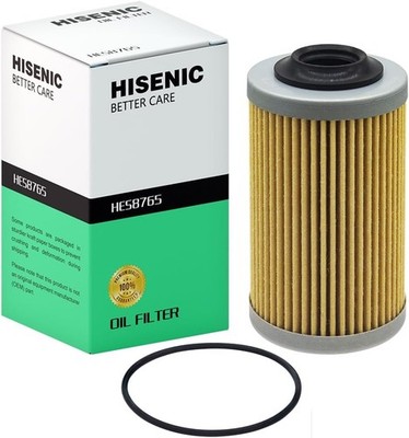 Oil Filter Fits Select ATS CTS SRX STS, Fits Select Caprice Colorado Vectra Cany