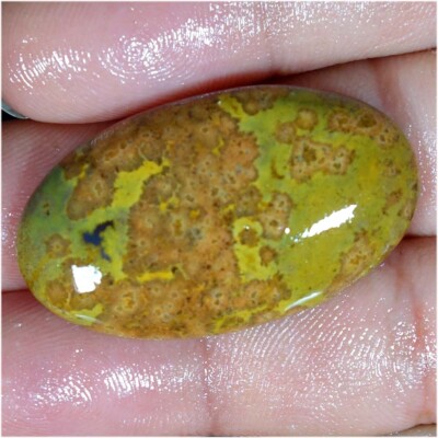 36.9Cts. 100% Natural Ocean Jasper Oval Loose Top Gemstone