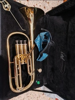 Weril Flicorn Saxophone