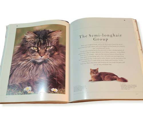 Cat Breeds & Cat Care Book The Ultimate Encyclopedia of Cats Alan Edwards [SCVR] - Bild 2 von 4