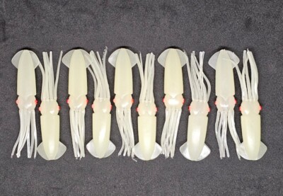 Fishing Lure B2 Squid Soft Body 3'' in /8cm Hi-lo Octopus Glow Fluke Jig 10 Pack