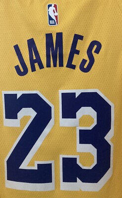 LeBron James Los Angeles Lakers NBA Jersey Men 48 L Nike #23