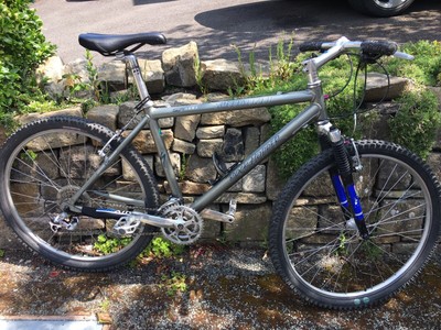 specialized rockhopper comp 17