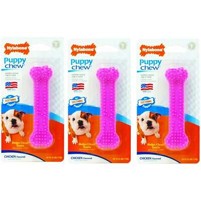 Nylabone Puppy Chew Teething Bone Dental Toys Pink, Petite
