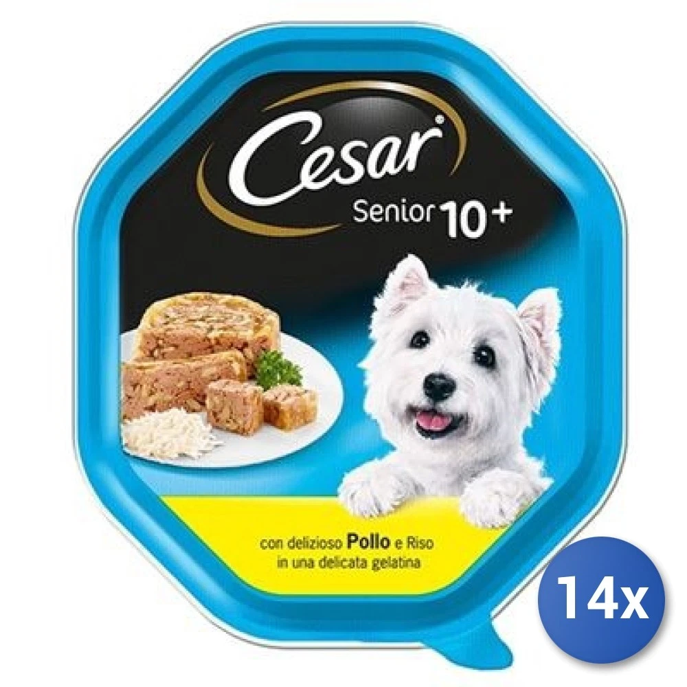 14x Bundle Cesar Senior 10+ Vasch Chicken-Rice 150gr