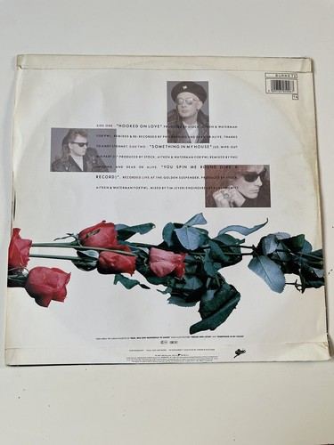 DEAD OR ALIVE – Hooked On Love - 12" Vinyl Single - Picture 2 of 4