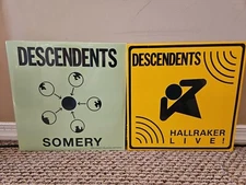 Lot of 2 Descendents Records: Somery 2xLP, Hallraker (New Repressings)