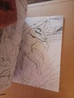 Picture 3 of 3