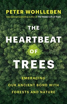 The Heartbeat of Trees: Embracing Our Ancient Bond with Forests 