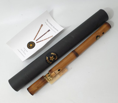 THE GOLDSTAR BAMBOOSAX THE GREATEST LITTLE INSTRUMENT ON THE PLANET DAddarlo 1.5