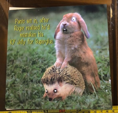 Karte lustig Sekundenkleber statt KY Jelly Rabbit Igel blanko Neu & Umschlag
