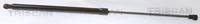 Triscan Gasfeder, Koffer-/Laderaum 8710 25280 FüR Renault