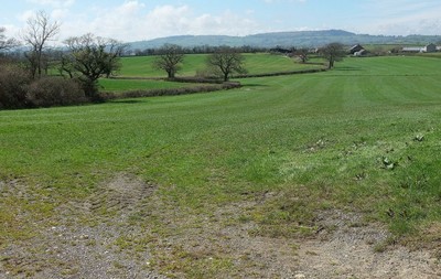 Photo 12x8 Farmland in Marshwood Vale Bluntshay A winding field boundary s c2016