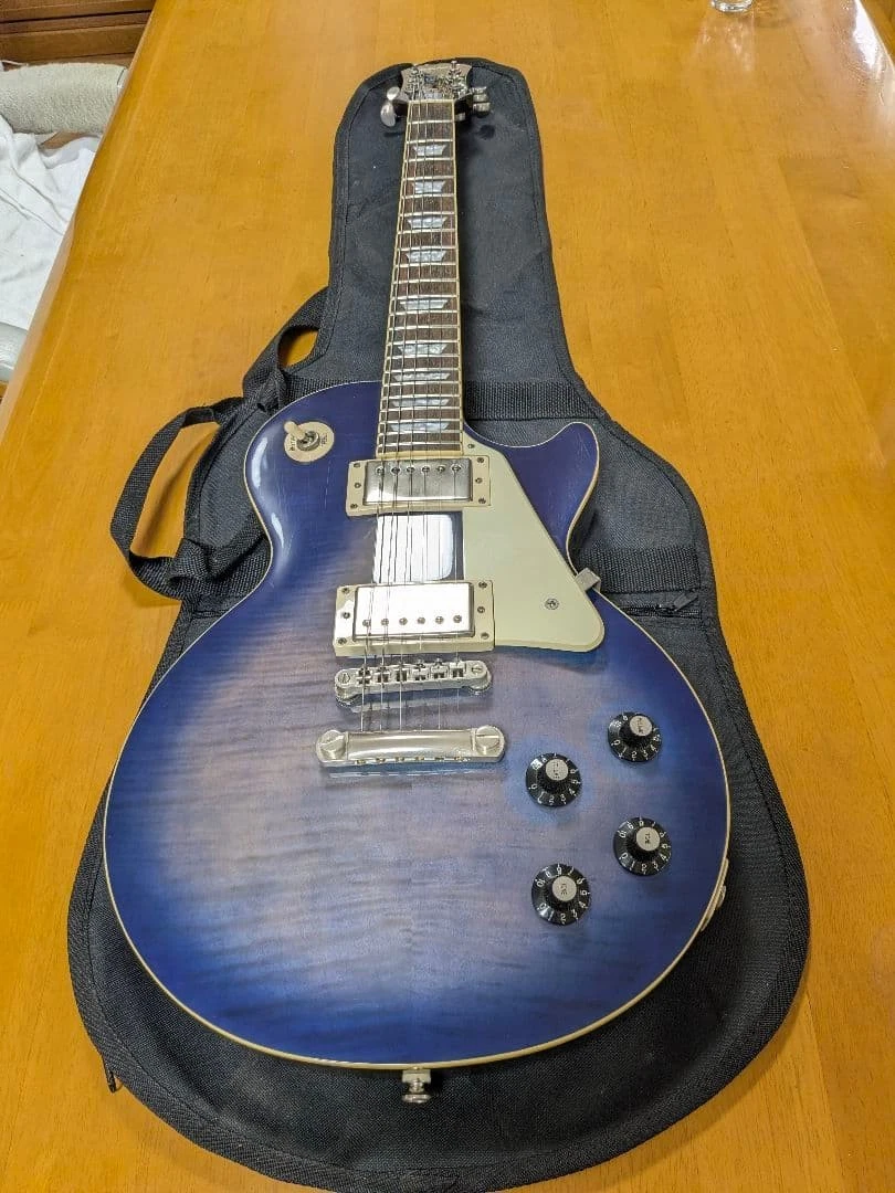 Epiphone Les Paul Standard PlusTop Pro 6 String Electric Guitars