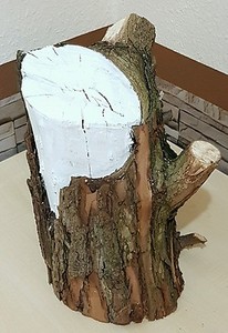 Gr Baumstamm Baumstumpf Viel Verzweigt Ast Holz Basteln Skulptur Deko 30cm Hoch Ebay