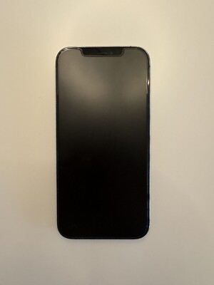 Apple iPhone 12 Pro Max - 128GB - Silber (Ohne Simlock) (Dual-SIM)