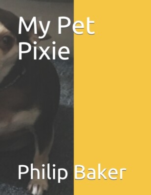 Baker - My Pet Pixie - New paperback or softback - X555z