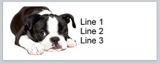 Personalized Address Labels Dog Boston Terrier  (bx 353)