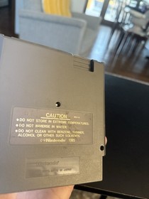 Anticipation (Nintendo Entertainment System Nes, 1988)