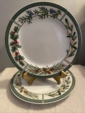 Fairfield Wintergreen Dinner Plates 10 1/4” Set Of (2)