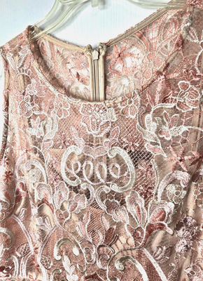 Lane Bryant Lace Overlay Dress Women's 22 Pink Nude Floral Lined Summer  A123 | eBay