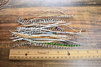 Lot 13,   50 Dry Fly Feather Feathers SHORT SHORTS for Fly Tying Jewelry