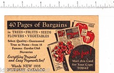 6128 Montgomery Ward catalog nursery 1935 advertising postcard flower mail order