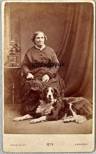 CDV LADY & LARGE DOG ON LEAD COLLAR BY PRESTWICH LONDON ANTIQUE PHOTO ANIMAL PET