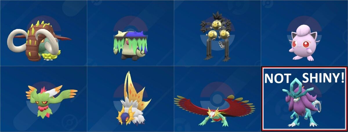 Every SHINY 6IV XXXL EV Trained Legendary All Ribbons Pokemon