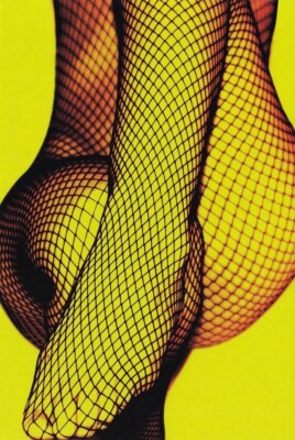 V13093 Australia Avant Card #13093 My Favourite Model by Erin Casey Fishnet Stoc