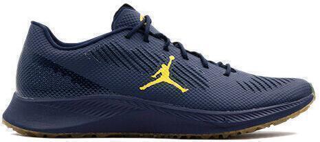 michigan jordan shoes 2021