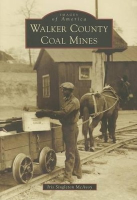 Iris Singleton Mcavoy Walker County Coal Mines (Taschenbuch) (US IMPORT)