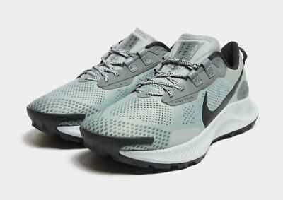 Nike Pegasus Trail 3 Dusty Sage Black Smoke Grey Sneaker DV3035-001