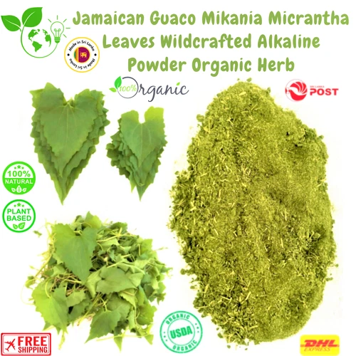 Jamaican Guaco Mikania Micrantha Leaves Wildcrafted Alkaline Powder Organic Herb