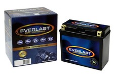 EVERLAST  CT12B-BS   - 12V AGM Sealed Mainten...